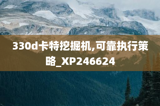 330d卡特挖掘机,可靠执行策略_XP246624