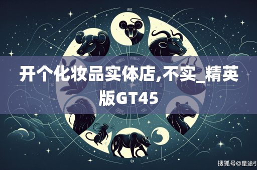 开个化妆品实体店,不实_精英版GT45