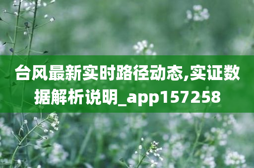 台风最新实时路径动态,实证数据解析说明_app157258