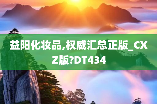 益阳化妆品,权威汇总正版_CXZ版?DT434