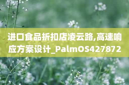 进口食品折扣店凌云路,高速响应方案设计_PalmOS427872