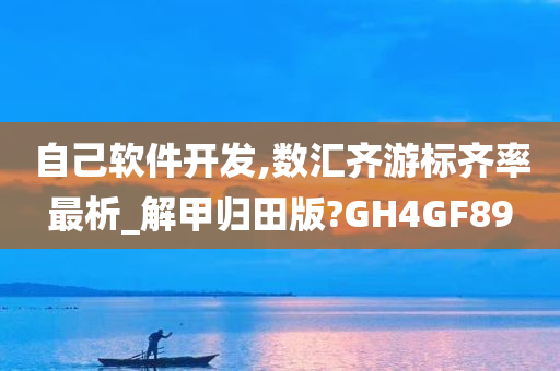 自己软件开发,数汇齐游标齐率最析_解甲归田版?GH4GF89