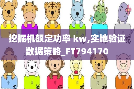 挖掘机额定功率 kw,实地验证数据策略_FT794170