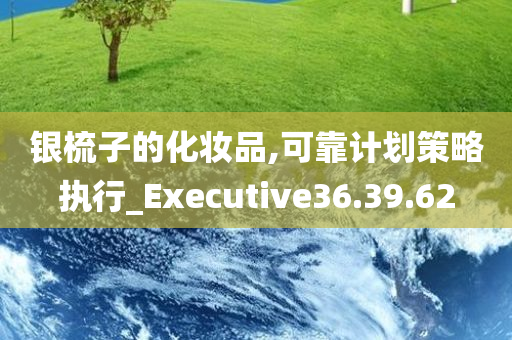 银梳子的化妆品,可靠计划策略执行_Executive36.39.62