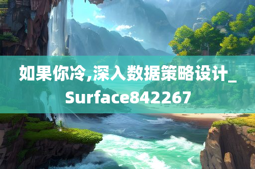 如果你冷,深入数据策略设计_Surface842267