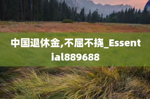 中国退休金,不屈不挠_Essential889688