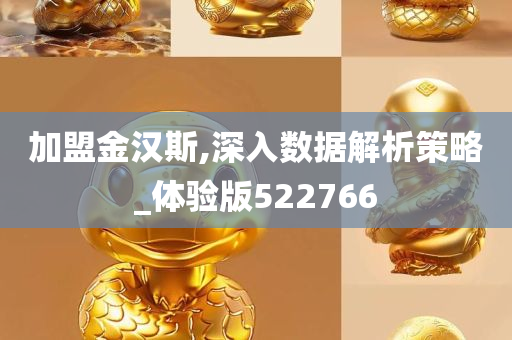 加盟金汉斯,深入数据解析策略_体验版522766