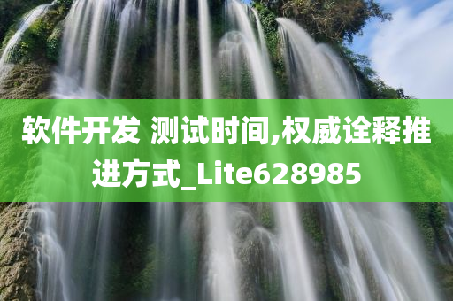 软件开发 测试时间,权威诠释推进方式_Lite628985