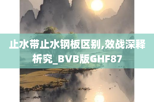 止水带止水钢板区别,效战深释析究_BVB版GHF87