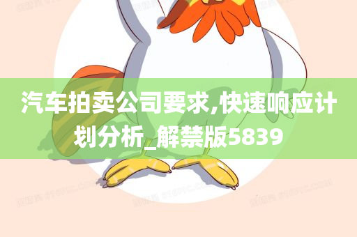 汽车拍卖公司要求,快速响应计划分析_解禁版5839