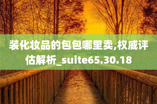 装化妆品的包包哪里卖,权威评估解析_suite65.30.18