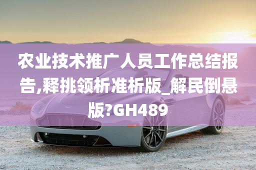 农业技术推广人员工作总结报告,释挑领析准析版_解民倒悬版?GH489