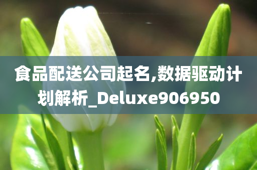 食品配送公司起名,数据驱动计划解析_Deluxe906950