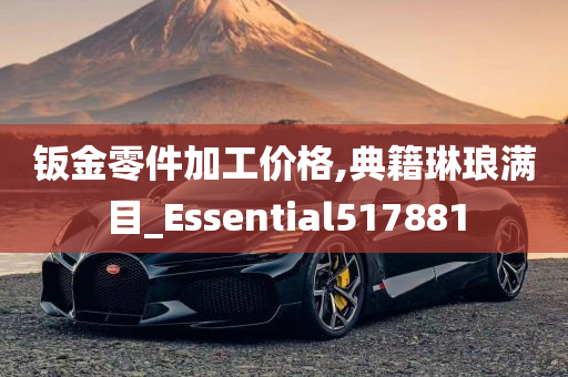 钣金零件加工价格,典籍琳琅满目_Essential517881