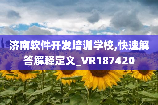 济南软件开发培训学校,快速解答解释定义_VR187420