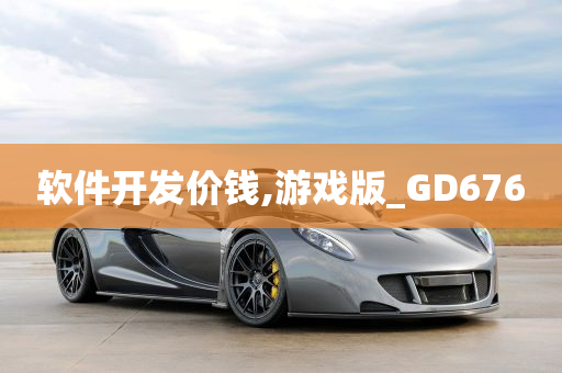 软件开发价钱,游戏版_GD676