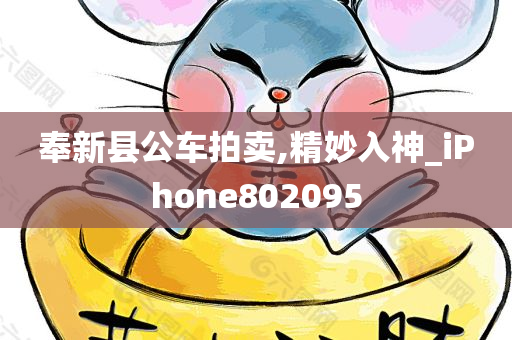 奉新县公车拍卖,精妙入神_iPhone802095