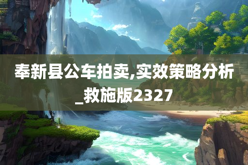 奉新县公车拍卖,实效策略分析_救施版2327