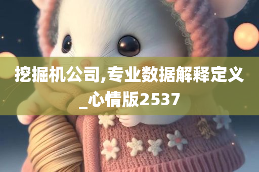 挖掘机公司,专业数据解释定义_心情版2537