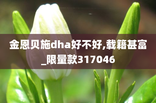 金恩贝施dha好不好,载籍甚富_限量款317046