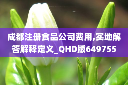 成都注册食品公司费用,实地解答解释定义_QHD版649755