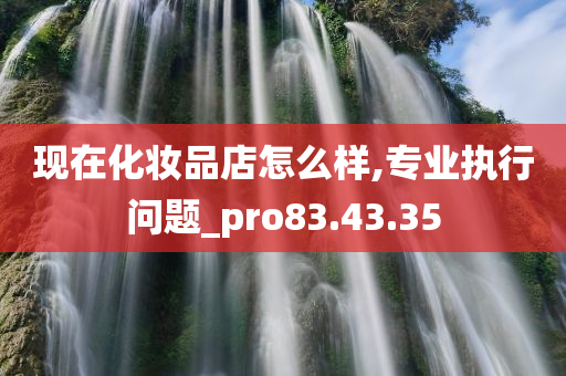 现在化妆品店怎么样,专业执行问题_pro83.43.35