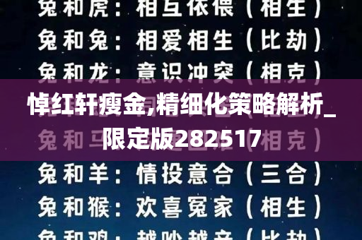 悼红轩瘦金,精细化策略解析_限定版282517