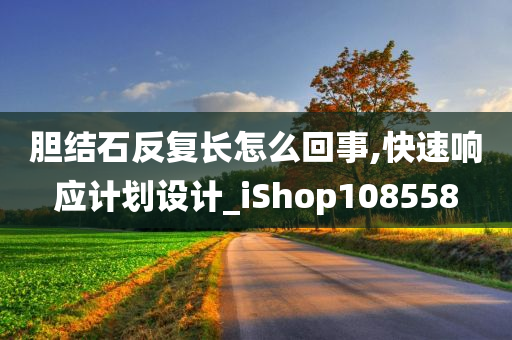 胆结石反复长怎么回事,快速响应计划设计_iShop108558