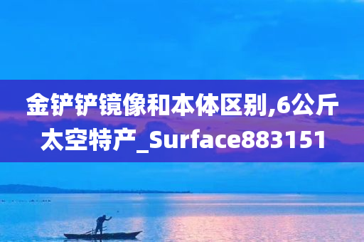 金铲铲镜像和本体区别,6公斤太空特产_Surface883151