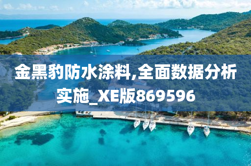 金黑豹防水涂料,全面数据分析实施_XE版869596