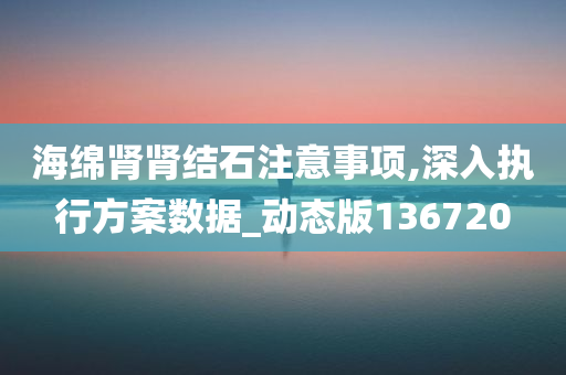 海绵肾肾结石注意事项,深入执行方案数据_动态版136720