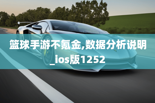 篮球手游不氪金,数据分析说明_ios版1252