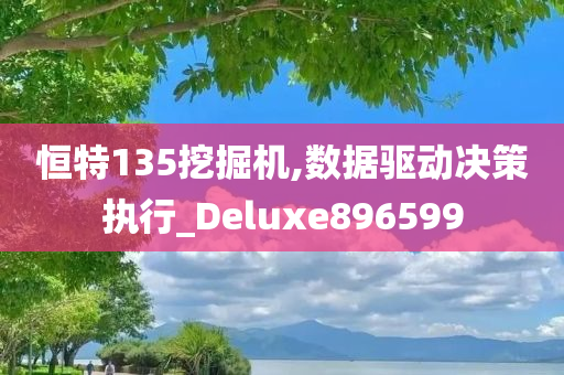 恒特135挖掘机,数据驱动决策执行_Deluxe896599