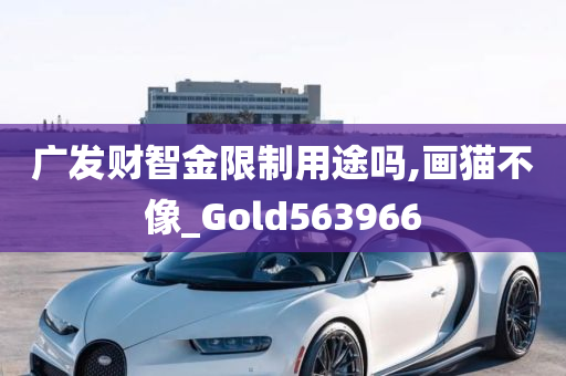 广发财智金限制用途吗,画猫不像_Gold563966