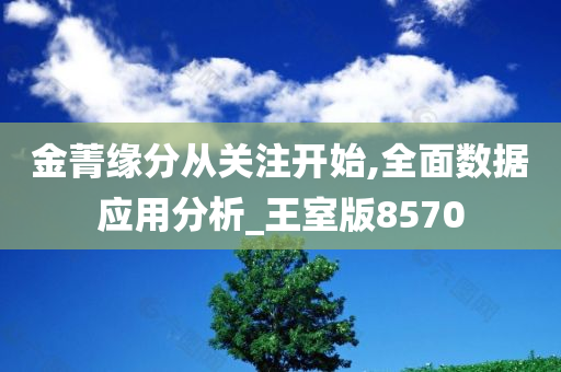 金菁缘分从关注开始,全面数据应用分析_王室版8570