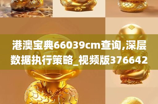 港澳宝典66039cm查询,深层数据执行策略_视频版376642