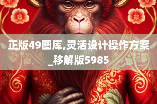 正版49图库,灵活设计操作方案_移解版5985