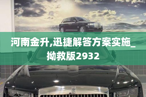 河南金升,迅捷解答方案实施_拗救版2932