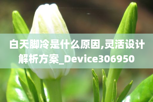 白天脚冷是什么原因,灵活设计解析方案_Device306950