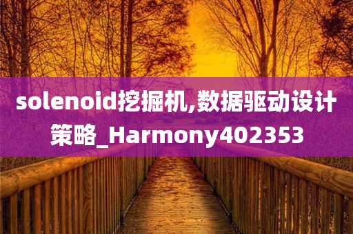 solenoid挖掘机,数据驱动设计策略_Harmony402353