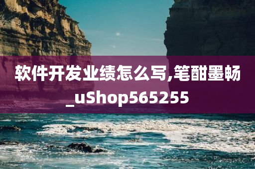 软件开发业绩怎么写,笔酣墨畅_uShop565255