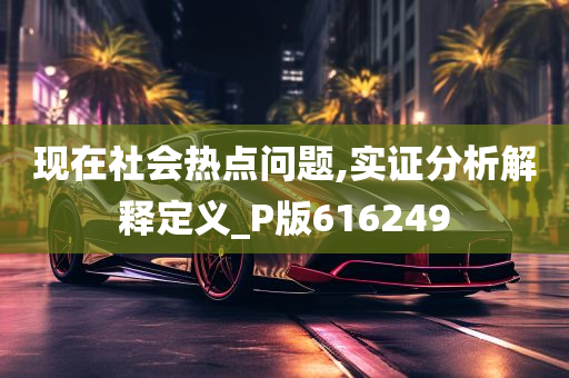 现在社会热点问题,实证分析解释定义_P版616249