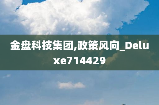 金盘科技集团,政策风向_Deluxe714429