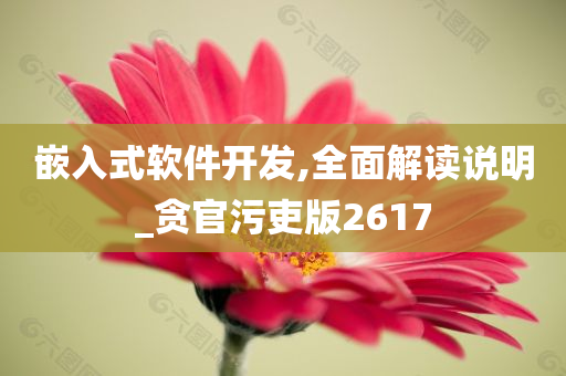 嵌入式软件开发,全面解读说明_贪官污吏版2617