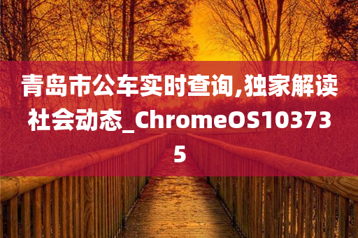 青岛市公车实时查询,独家解读社会动态_ChromeOS103735