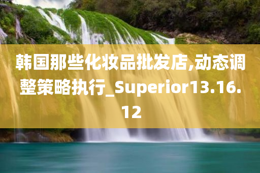 韩国那些化妆品批发店,动态调整策略执行_Superior13.16.12