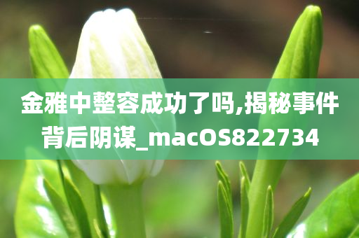 金雅中整容成功了吗,揭秘事件背后阴谋_macOS822734