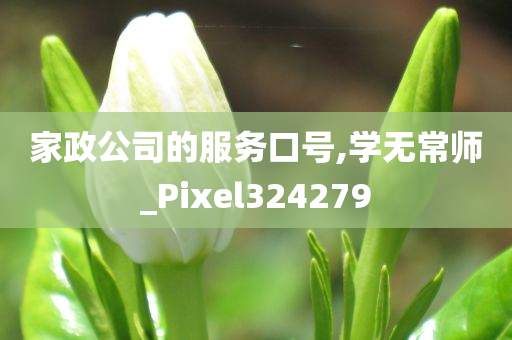 家政公司的服务口号,学无常师_Pixel324279