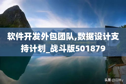 软件开发外包团队,数据设计支持计划_战斗版501879