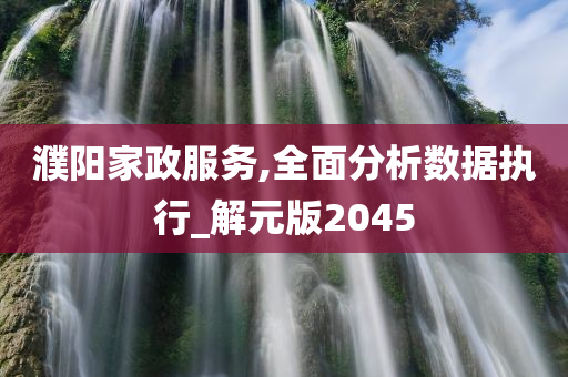 濮阳家政服务,全面分析数据执行_解元版2045